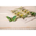 Farfalla C/clip X12pz Green
