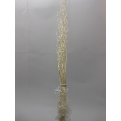 SALIX DRAGON H.120 X10PZ. BIA.