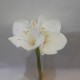 AMARYLLIS STEM H. 45 CM. WHITE
