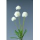BOUQUET POM POM BIANCO