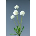 Bouquet Pom Pom Bianco